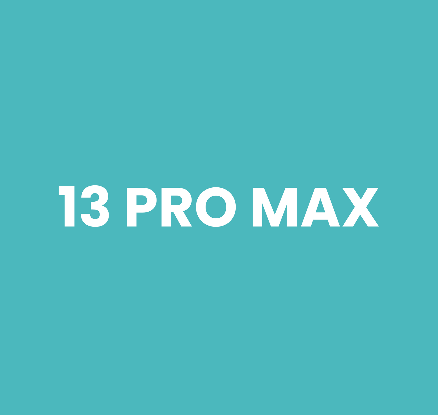 13 Pro Max