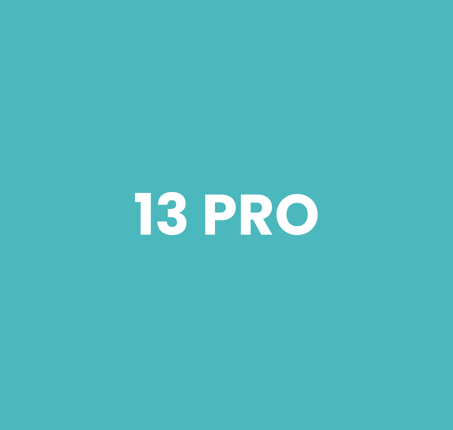 13 Pro