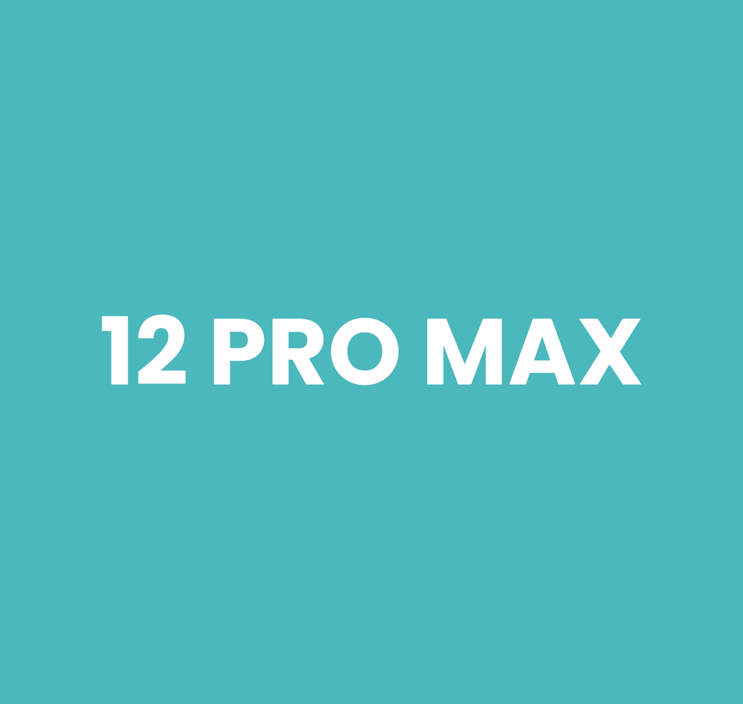 12 Pro Max