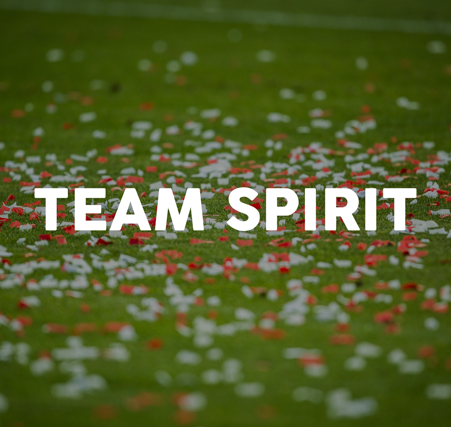 Team Spirit / Sports