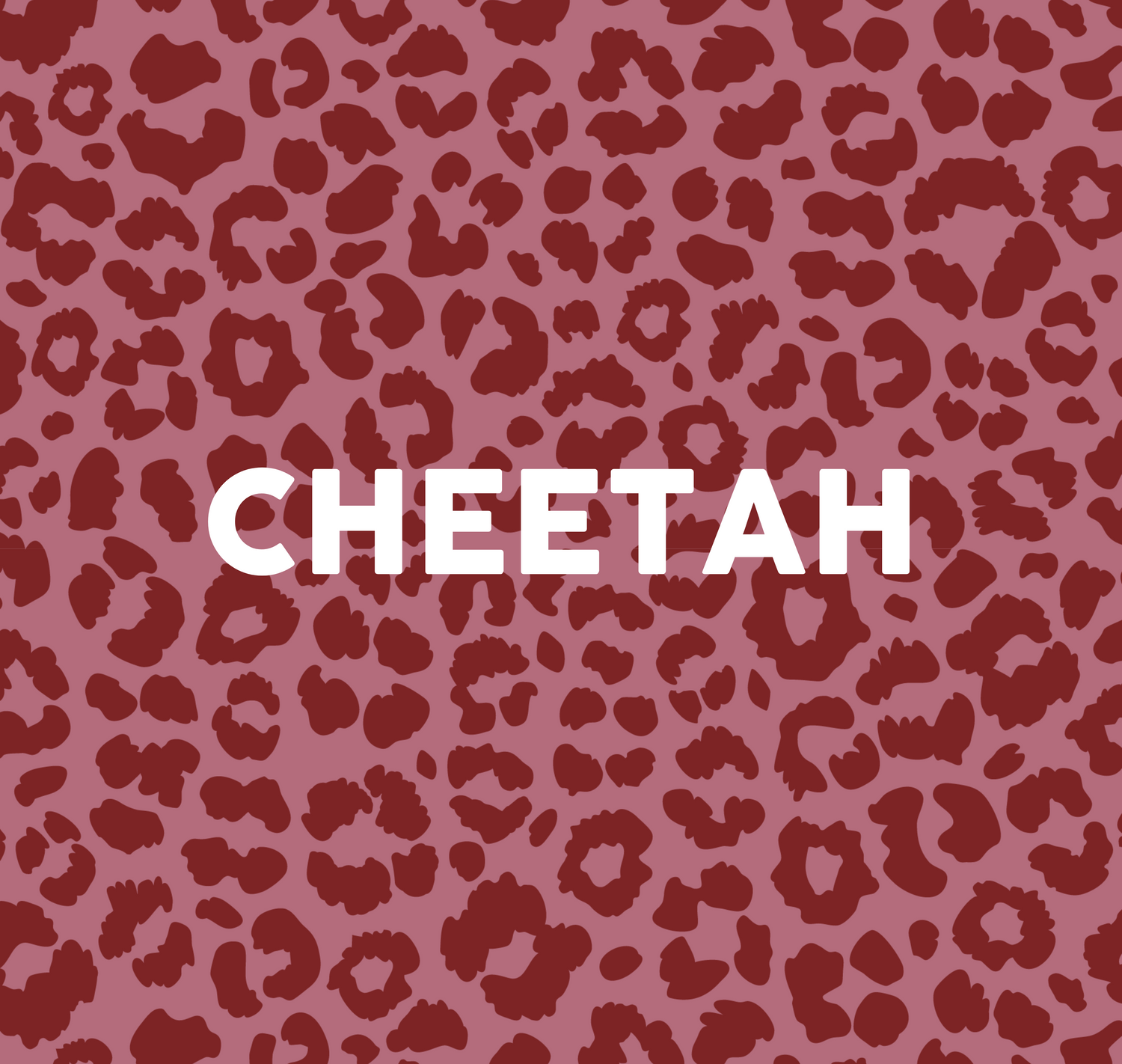 Cheetah / Leopard